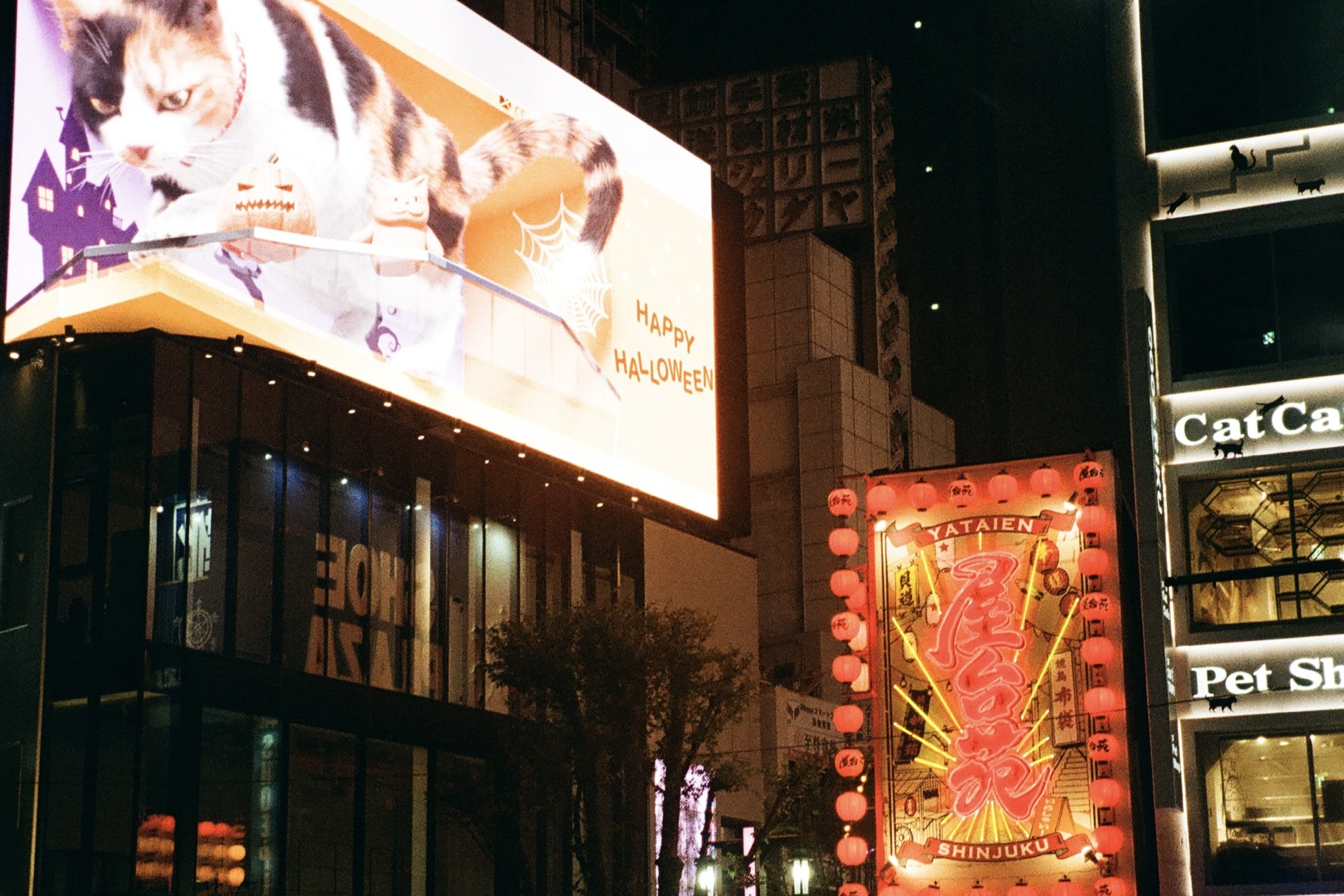 Gallery image 101